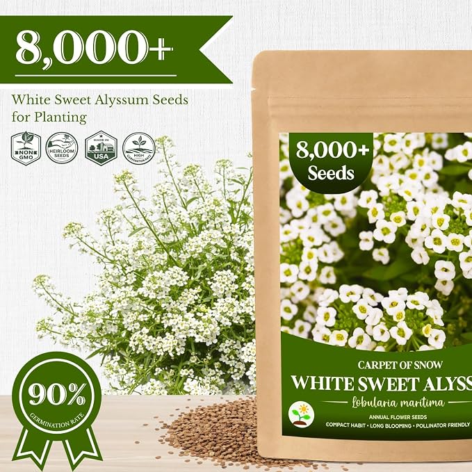 8000+ White Sweet Alyssum Seeds for Planting - Carpet of Snow Flower Seeds, Fragrant Annual Ground Cover, Lobularia Maritima for Garden Borders, Containers, Rock Gardens & Pollinator Habitats