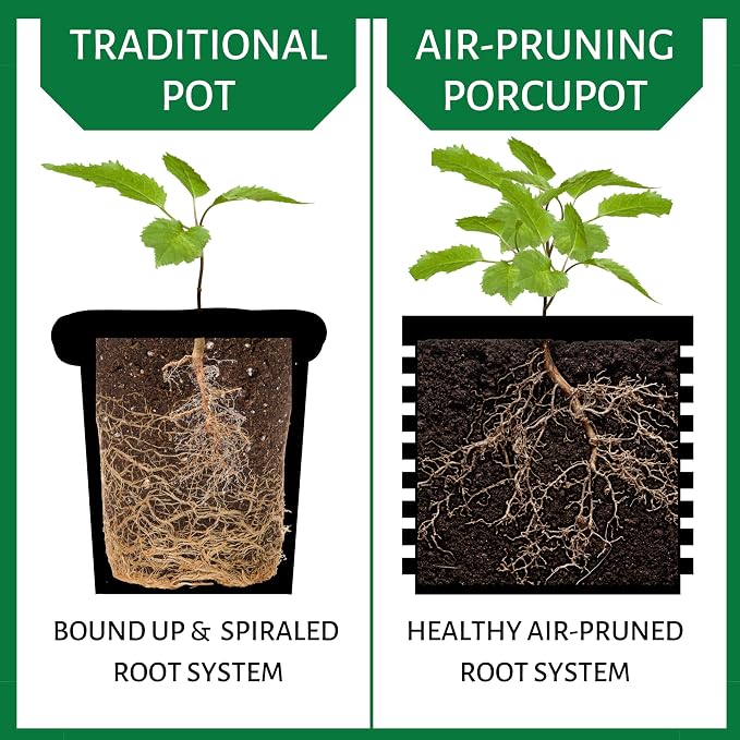 Air Pruning Pots for Plants - Complete Grow Kit - 1 Gallon Pot & 5 Gallon Pot - Promote Healthy Roots Complete Air Pruning, Re-Planting & Plant Rooting System