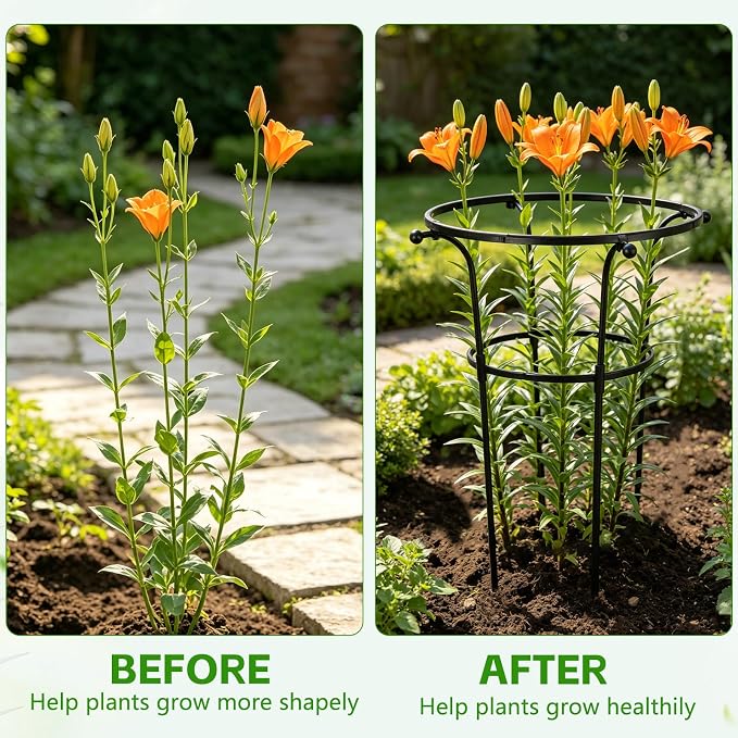2 Pack Large Peony Cages and Supports, 26" H x 20" D Grow Through Plant Support Rings, Sturdy Garden Trellis, Plastic Rings with Stainless Steel Core Stakes for Peonies, Roses & Top-Heavy Blooms