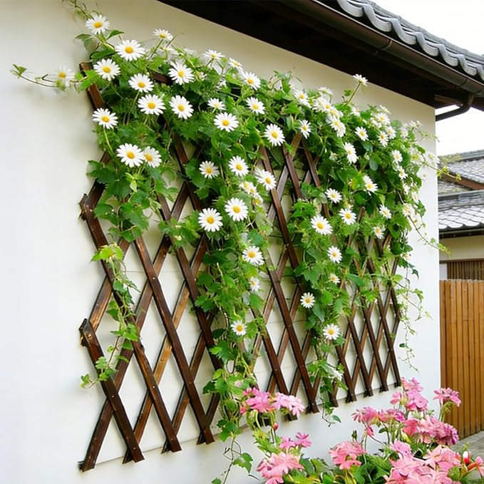 2Pcs Expandable Garden Trellis, 38" x 89" Large Wooden Lattice Fence Wall Panel Lattice Trellis for Climbing Plants Outdoor Ivy Vine Rose Clematis for Garden Patio Room Decor (2Pcs Brown)