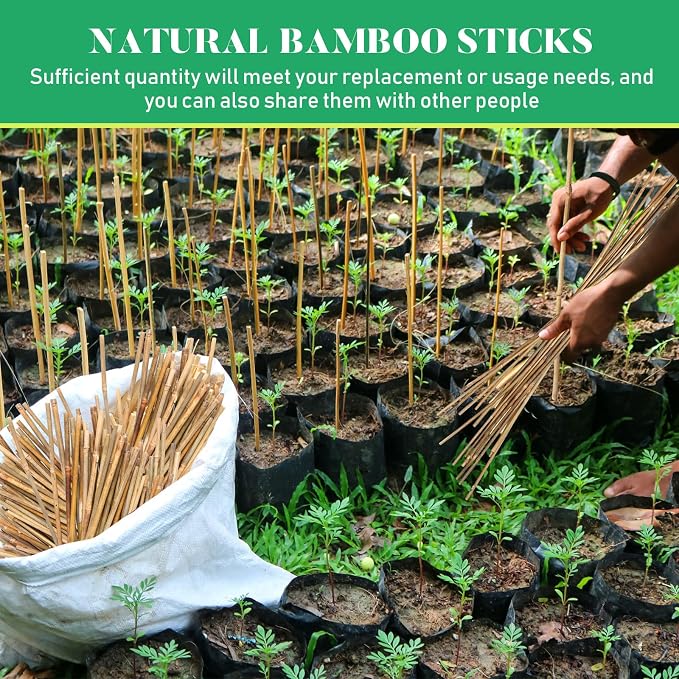 Suclain 100 Pcs Bamboo Plant Stakes Natural Garden Support Sticks for Climbing Plants Sturdy Bamboo Garden Stakes for Tomato, Beans, Flowers and Potted Plants, Vegetables, Indoor & Outdoor (2 ft)