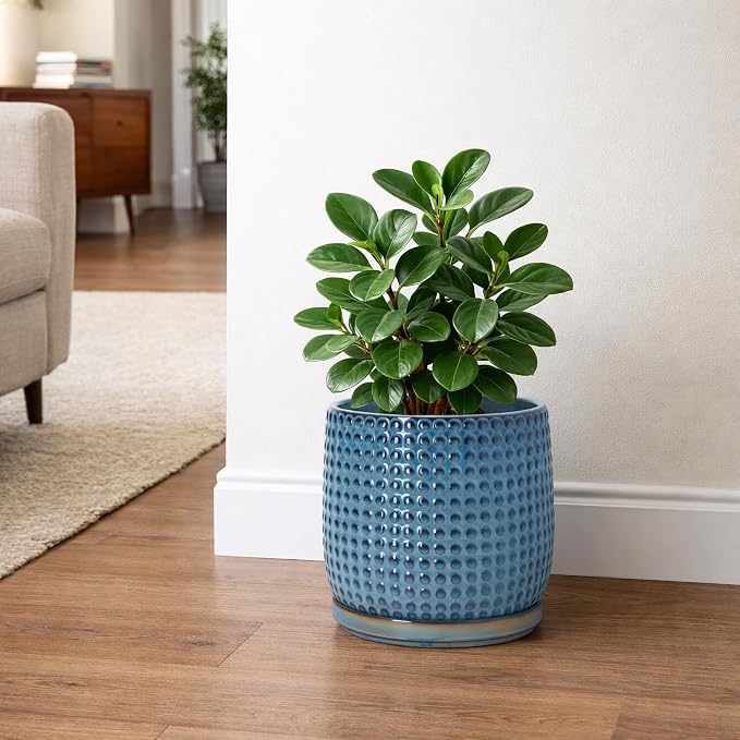 D'vine Dev 8 Inch Ceramic Beaded Stoneware Planter Pot - Flower Pot with Drainage Holes and Saucers for Indoor Succulent Plants or Flowers, Ocean Teal, 27-C-Q-8
