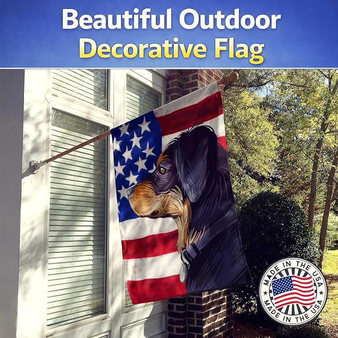 Caroline's Treasures CK6744CHF Transylvanian Hound American Flag House Flag Large Porch Sleeve Pole Decorative Outside Yard Banner Artwork Wall Hanging, Polyester, House Size, Multicolor