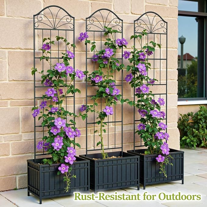 VOXOR Metal Trellis for Climbing Plants Outdoor, 70 * 19.7 Inch Tall Garden Trellis with Black Rustproof Coating, Decorative Rose Trellis for Climbing Roses, Vines, and Flowers, 2 Pack