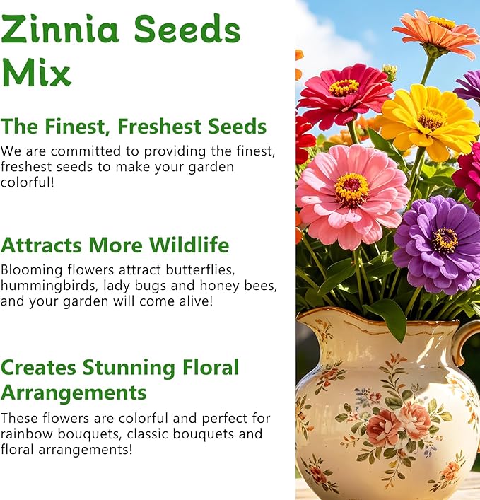 LUOJIBIE Zinnia Seeds for 2026, 15,000+ California Giant Zinnia Seeds Bulk, Double Dahlia Zinnia Mixed Color Seeds, Flower Seeds for Planting Outdoor Garden, Non-GMO Heirloom, Easy to Grow