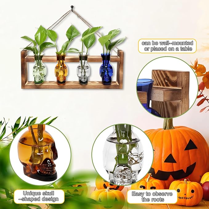 Plant Propagation Stations Halloween Skull Plant Terrarium Kit | Glass Vases Gift for Father Air Planter Home Office Decor