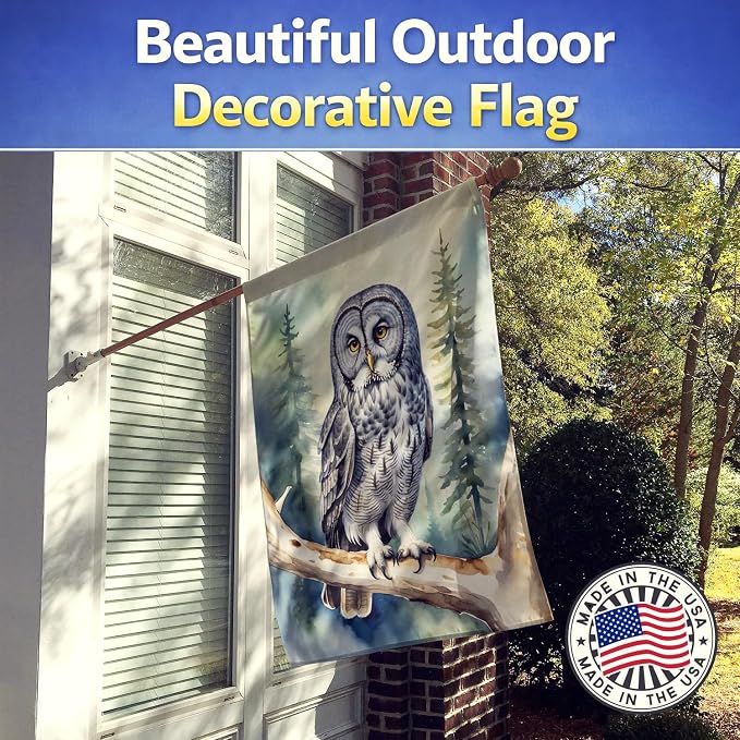 Caroline's Treasures Great Gray Owl House Flag Large Porch Sleeve Pole Decorative Outside Yard Banner Artwork Wall Hanging, Polyester, House Size, Multicolor