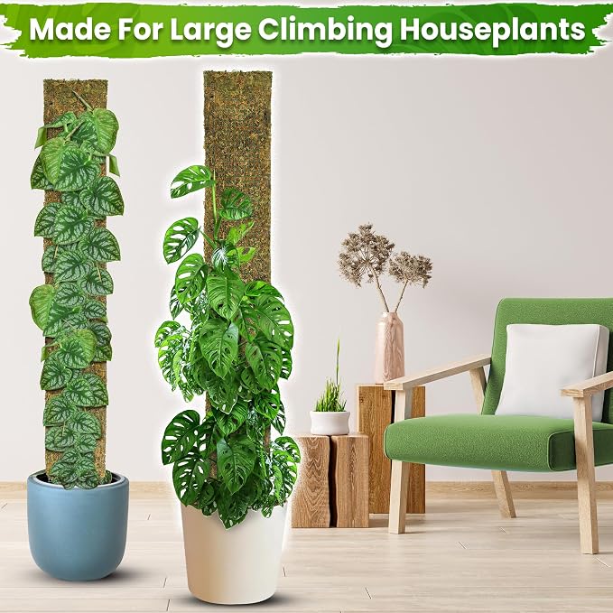 59" Flat Mesh Moss Pole for Big Climbing Plants, (1pc., 59'') | Wide Flat Real Moss Surface, Monstera Moss Pole for Indoor Plants, Plant Stakes for Mature Indoor Plants