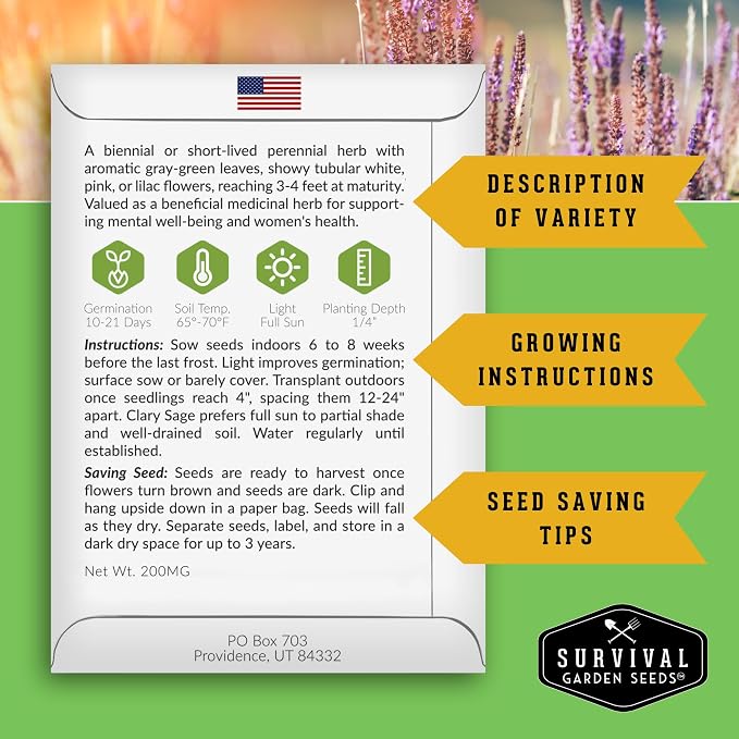 Clary Sage Seeds for Planting - Medicinal Herb for Aromatherapy & Pollinators, Fragrant Perennial Salvia Sclarea for Healing Gardens, Non-GMO Heirloom - Survival Garden Seeds (5 Packs)