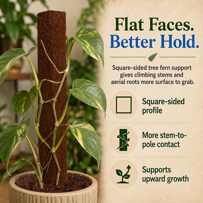 Fernwood Tree Fern Totem Pole Climbing Plant Support - 2 Pack – 19.7x2x2 | For Orchids, Aroids, and Other Climbing Plants | Indoor and Outdoor Plants | Soft, Durable, Fibrous | Natural and Sustainable