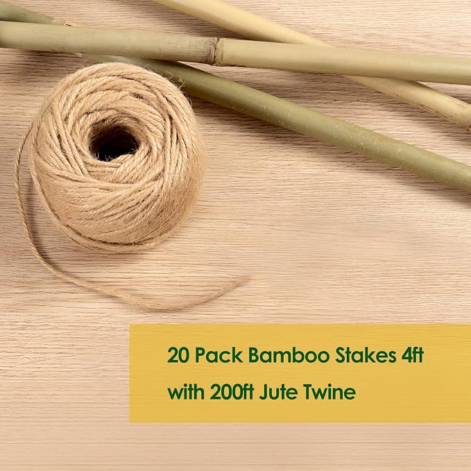 Cambaverd Bamboo Stakes 4 Feet Thicker Garden Stakes with Garden Twine, Diameter of 0.55in Natural Plant Stakes Bamboo Poles for Climbing Plants Support Tomato Cage - 20 Pack Bamboo Sticks for Plants