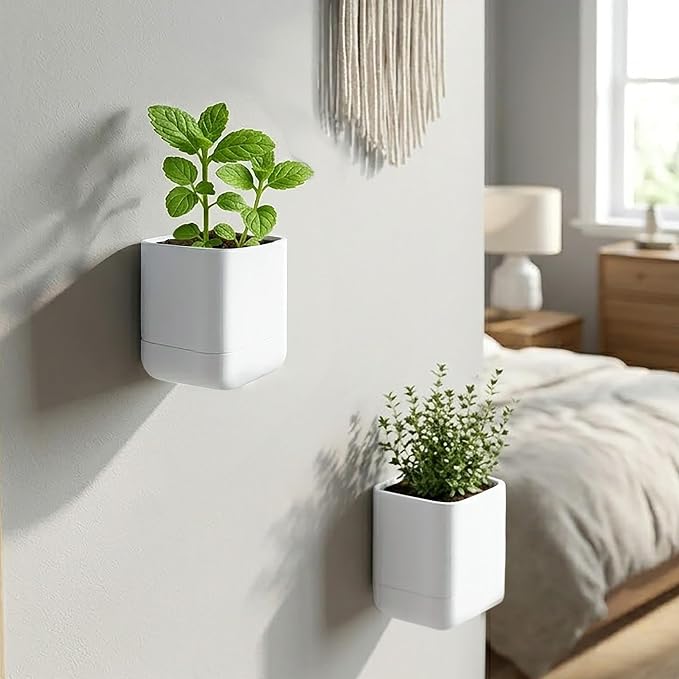 Phoenix Vine 3.5 Inch Wall Mounted Self-Watering Planter Pot for Indoor Houseplants and Herbs | Hanging Planter for Window Sills, Bathroom Walls, Home & Office Décor, White, Set of 2, 01-A-D-2
