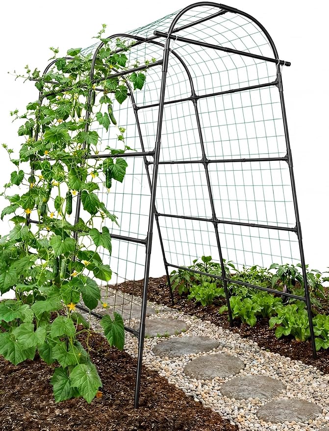 GOJAWAY 7*5.4* 5FT Arch Metal Garden Trellis,Outdoor Climbing Support Frame | Large Tall Cucumber Tunnel Trellis for Pathway Yard,Suitable for Supporting Grape Rose Beans Raised Bed PP Coasted Aluminum