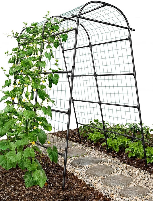 GOJAWAY 7*5.4* 5FT Arch Metal Garden Trellis,Outdoor Climbing Support Frame | Large Tall Cucumber Tunnel Trellis for Pathway Yard,Suitable for Supporting Grape Rose Beans Raised Bed PP Coasted Aluminum