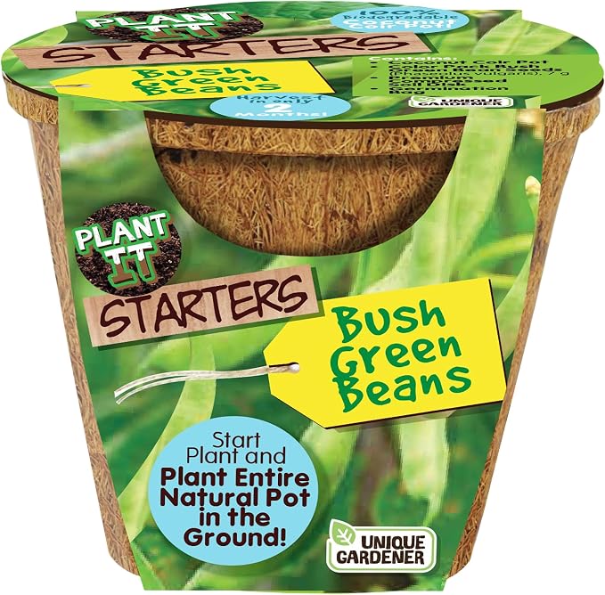 Unique Gardener Plant-It Starters Plant Seeds 4-Pack, DIY Indoor Succulents and Live Plants for Home or Garden Planting, Green Bush Beans