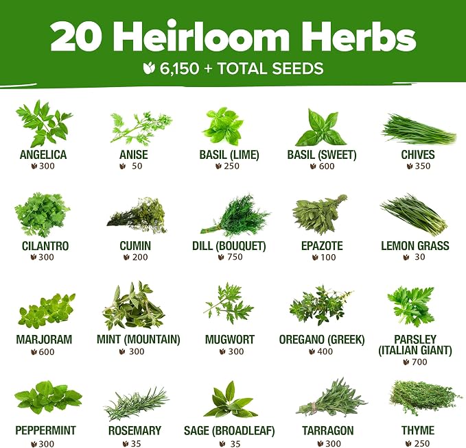 HOME GROWN 20 Culinary Herb Seed Vault & HOME GROWN Heirloom Vegetable Seeds
