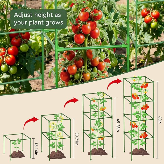 Halatool 4 Pack 60 Inches Square Tomato Cages for Garden, Heavy Duty Adjustable Metal Tomato Trellis for Climbing Plants – Green Plant Support Stakes for Vegetables Flowers Fruits & Raised Bed Outdoor