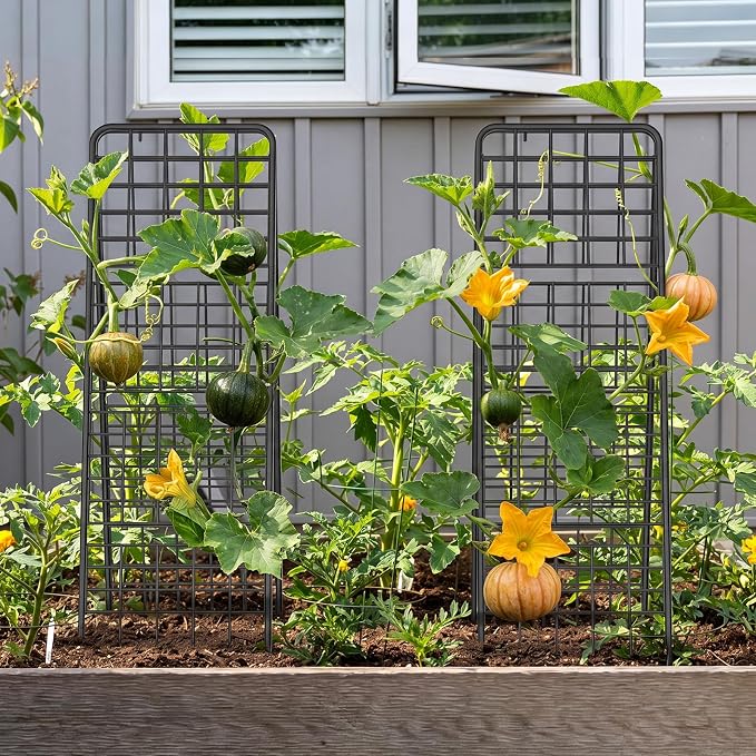 LIANTRAL A-Frame Trellis for Climbing Plants Outdoor, 2 Pack Metal Garden Trellis, Heavy Duty Cucumber Climbing Trellis with Dense Grid for Tomatoes Flowers Vegetables