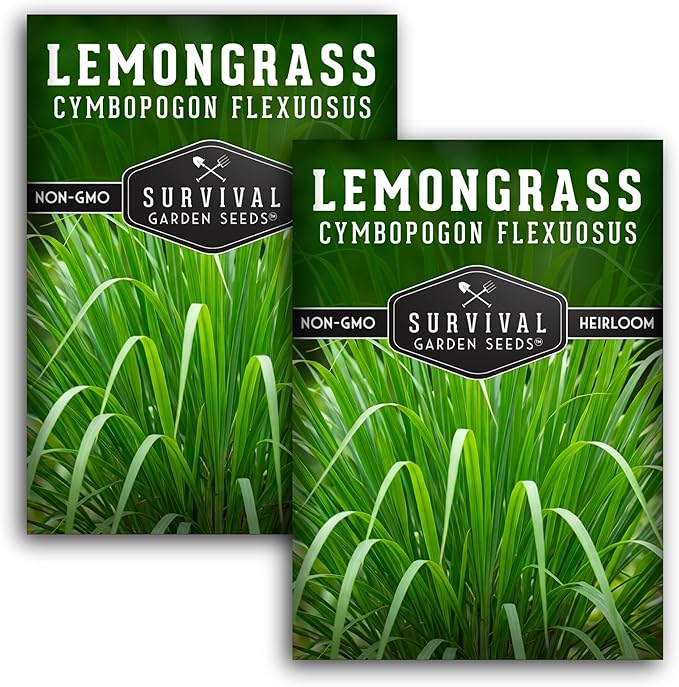 Lemongrass Seeds for Planting - Heirloom Asian Lemon Grass Seed - Fragrant Citrus Herb for Tea - Aromatic Garden Plant - Heirloom Non-GMO - Survival Garden Seeds (2 Packs)