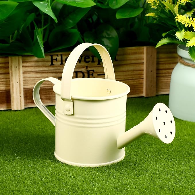 Cabilock 6-Pack Small Watering Cans for Indoor Plants Lightweight Plastic Watering Pots with Easy Grip Ideal for Succulents and Air Plants Gardening 5.90 Inch