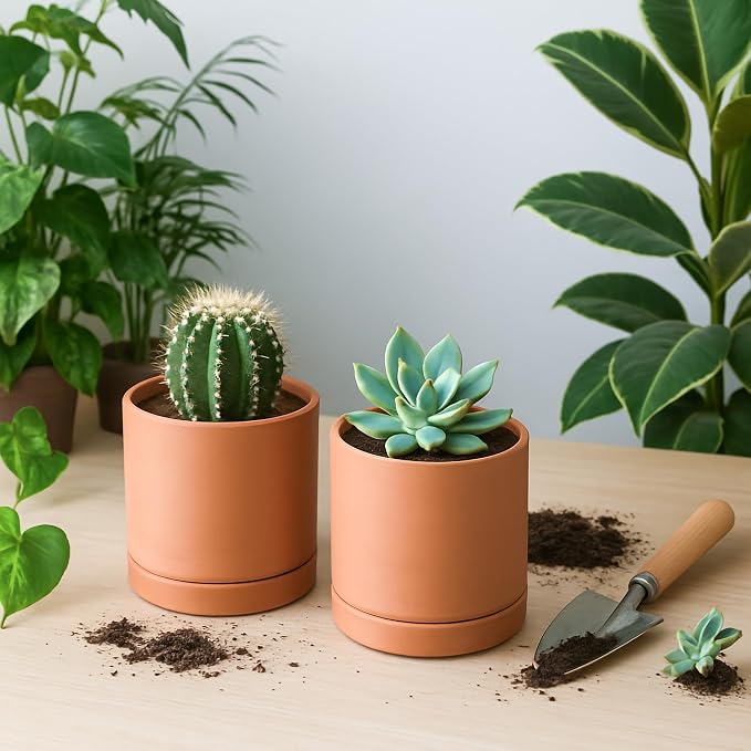 D'vine Dev X-Small 4 Inch Terracotta Plant Pots with Drainage Hole and Saucer, Round Cylinder Planter Pot for Indoor Plants, Set of 2, 40-X-B-1