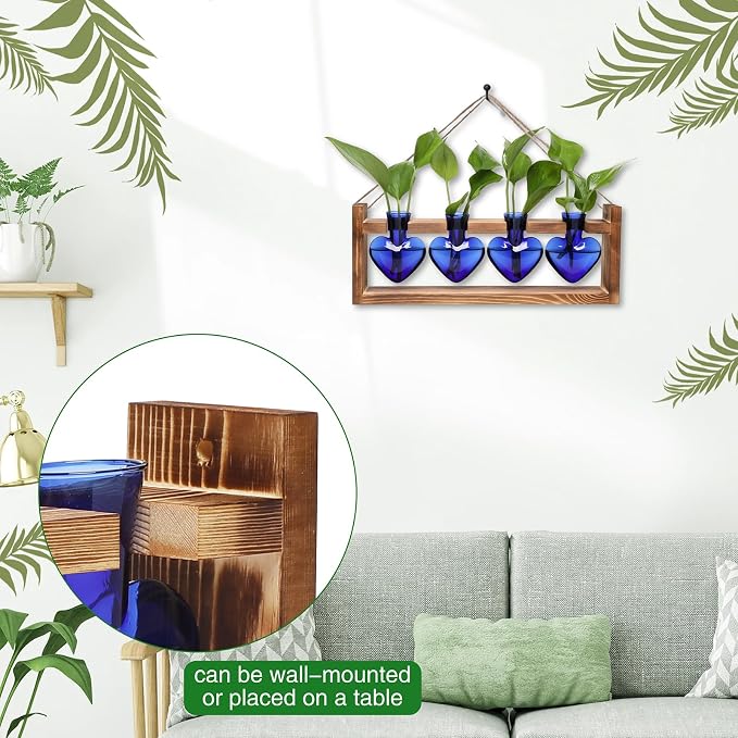 Plant Propagation Stations Heart Plant Terrarium Kit | Gift for Women Plant Lover Glass Vases