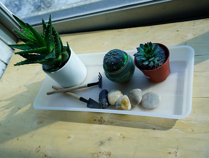VUWEZ 2 Pack of Plastic Plant Tray Saucer Rectangular, Plant Trays Saucers for Indoors Outdoor, Plant Water Drip Tray for Flower Pot Planter, Windowsill Plant Tray (6.5 X 13 Inch, Clear)