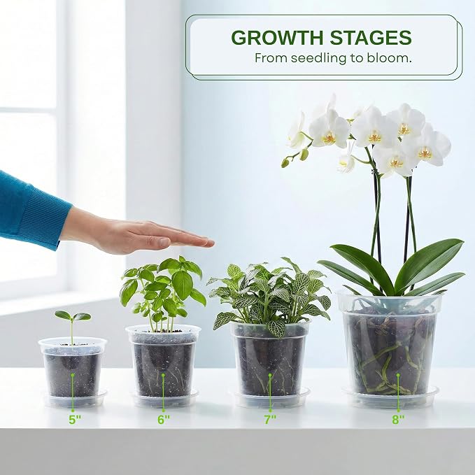 Zonara Clear Nursery Pots with Drainage 12 Pack, 5/6/7/8 Inch Transparent Plastic Plant Pots with Saucers, Mesh Pads & Plant Tags, Reusable Pots for Indoor Plants, Seedlings (5/6/7/8 Inch)