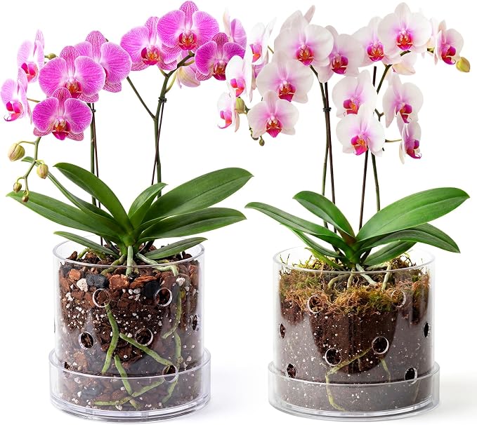 5 Inch 6 Inch Clear Acrylic Orchid Planter Pot with 360° Round Holes & Tray, Thick Acrylic Vented Planter for Phalaenopsis, Root Airflow, Bottom Watering & Indoor Orchid Repotting