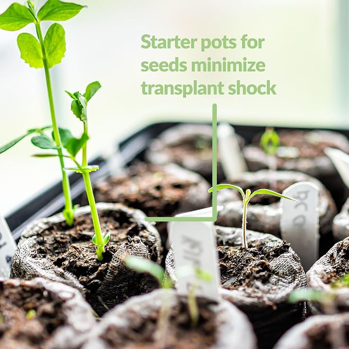 Jiffy Peat Soil Pellets Seed Starter Plugs - for Indoor Seedlings, Plant Starter - 500 Count - Peat