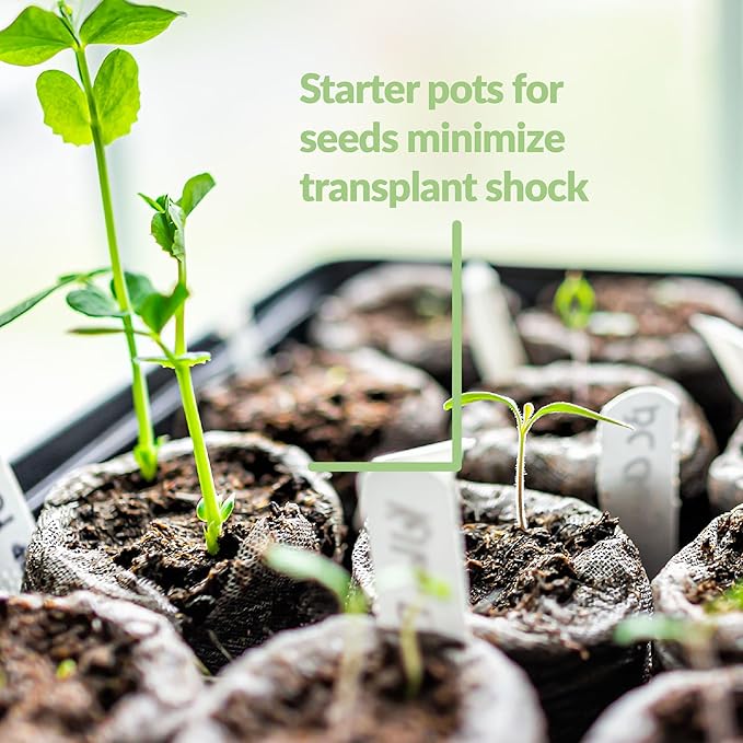 Jiffy Peat Soil Pellets Seed Starter Plugs - Indoor Seedling Planter - 1000 Count - Peat