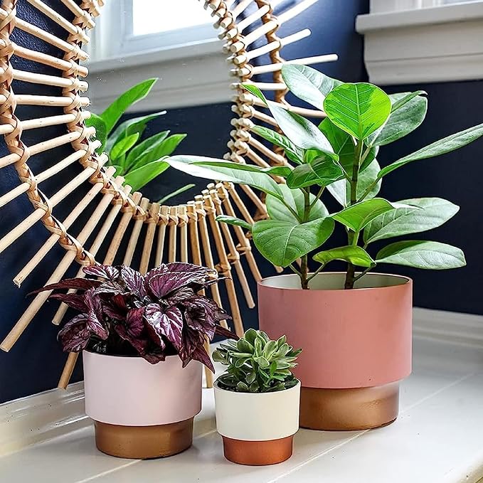 The HC Companies 2.5 Inch Sprite Mini Succulent Pot - Small Plastic Planter with Drainage for Indoor Plants, Turquoise (20 Pack)
