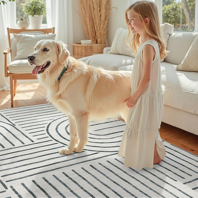 DCX Abstract Washable 6x9 Rug, Non Slip Low Pile Rug, Gray | Rugs for living room, bedroom, dining room, office, soft, mid century modern rug, sain resistant indoor carpet, home decor