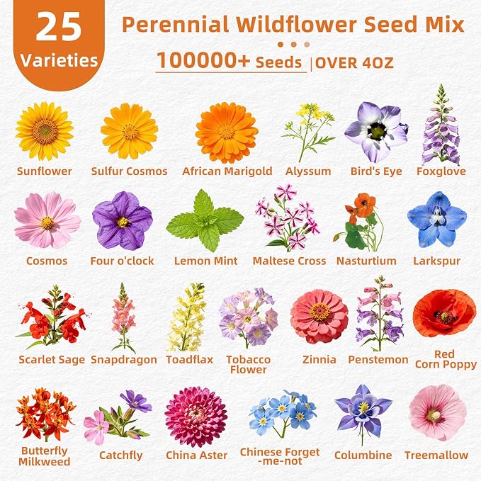 100,000+ Wildflower Seeds Bulk (4oz) - 25 Varieties Annual & Perennial Mix, High Germination Pollinator Outdoor Garden Seeds, Attracts Bees, Butterflies & Hummingbirds, Unique Gift for Women & Mom