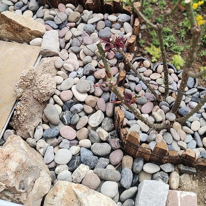 FANTIAN 20 lbs River Rocks for Plants, 1-2 Inch Decorative Pebbles Stones for Landscaping Garden Painting Crafting Walkways and Outdoor Yard