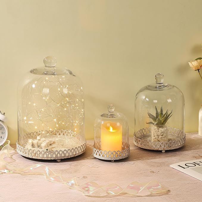 Twakutwku 8" Tall Large Sturdy Handmade Glass Cloche Dome with Metal Base in Shabby White for Plant, Terrarium, Collectibles, Candle. Cloche Glass Dome, Bell Jar Display Case (Shabby White, 8")