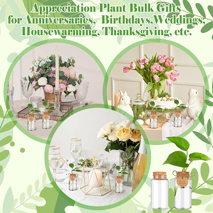 36 Packs Plant Propagation Stations with Hole Lid Clear Plastic Cultivation Bottles Tabletop Hydroponic Containers with Thank You Tags for Home Gardening Office Desktop Decoration