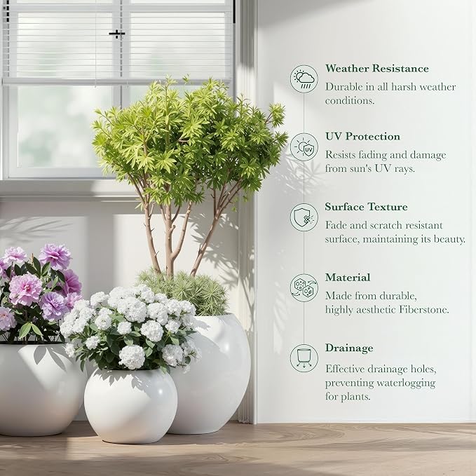 DTY Premium Mt Sherman Fiberstone Sphere Planter for Indoor Outdoor Use, Round Pot for Olive Tree, Lightweight, Smooth Finishes. 2 Extra Coco Mats. White, Large 21.1'' D x 16.7'' H. 14.6” Pot Opening