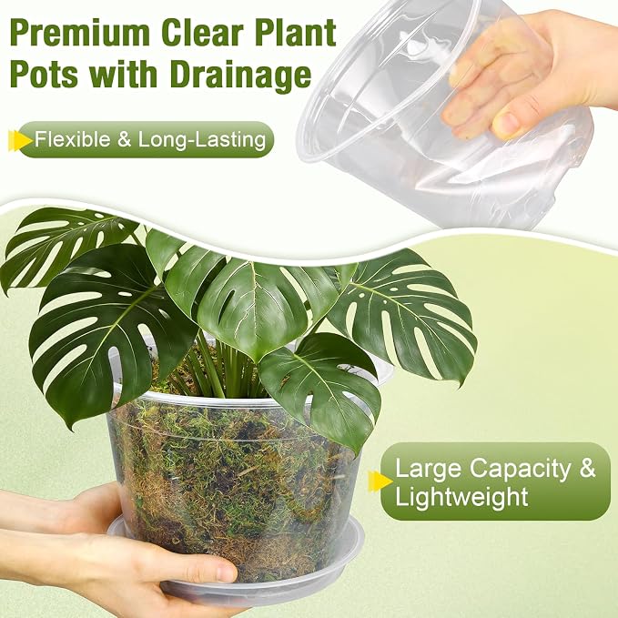 12 Inch Clear Nursery Pots with Drainage and Saucers, 5 Pack Large Clear Plastic Nursery Pots for Plants, Seedling Plant Pots for Repotting and Growing Plants, Flowers & Vegetables (12 inch)