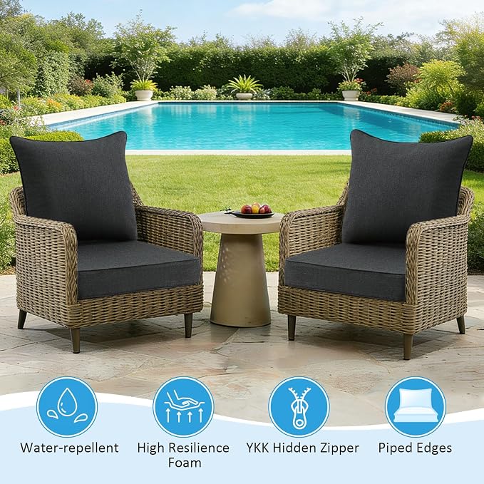 Sunbrella Outdoor Deep Seat & Back Cushion Set (2-Pack), 24 x 24 Inch Water Repellent and Fade Resistant Patio Furniture with Removable Cover for Outside Sofa Couch, Canvas Soot