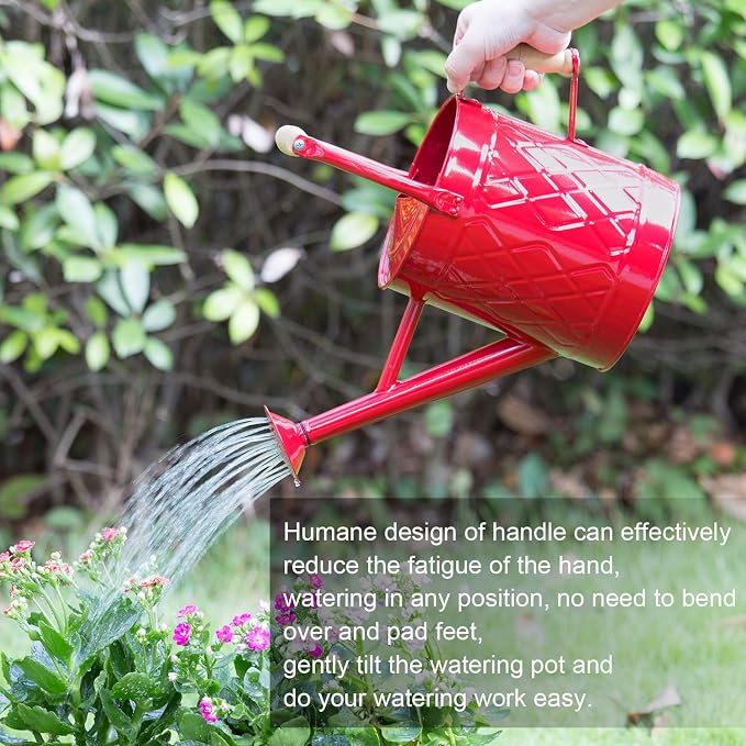 1 Gallon Watering Can, Red, Galvanized, Metal Watering Can with Removable Spout, Perfect Water Can for Indoor & Outdoor Plants