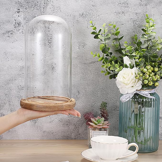 JUXYES Pack of 2 Glass Display Dome Cloche with Solid Wood Base, Clear Dome Bell Terrarium Jar Glass Cloche Bell Jar Display for Plants Collectible Figure