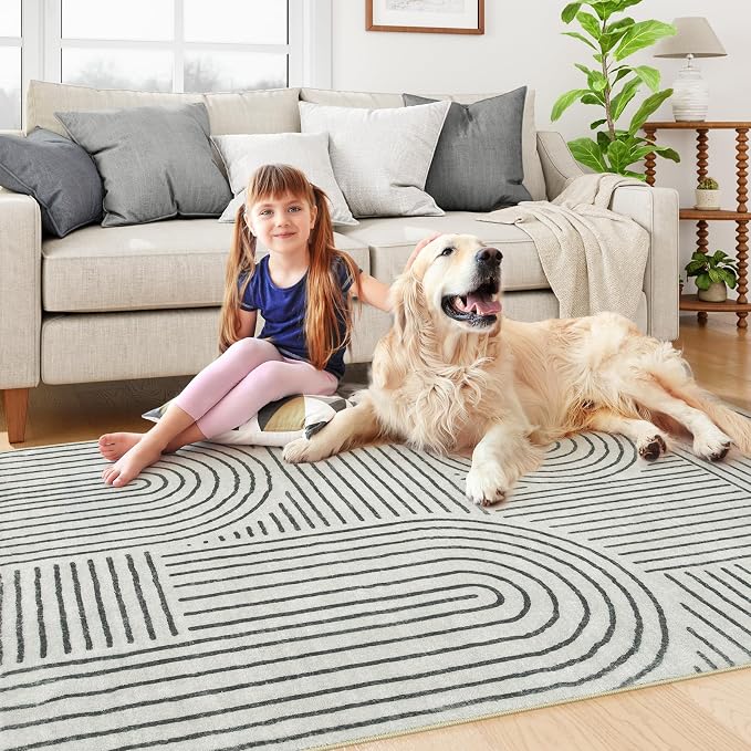 Lahome Abstract Bedroom Rug, Soft Black 4x6 Rug Washable Rugs for Entryway | Living Room Modern Ultra-Thin Black Rug Non-Slip Throw Carpet for Entryway Office Kitchen Darrell(4'x6', Black)