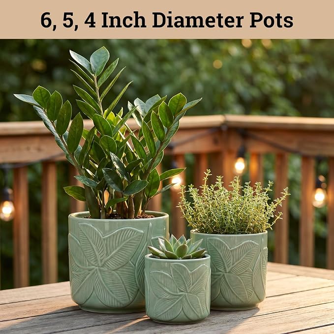 Ceramic Pots for Plants Set of 3 Sizes - 6, 5, 4 Inch Diameter Plant Pots with Drainage Holes - Ceramic Planters for Indoor Plants - Decorative Flower Pot - Plant Pot with Drainage - Indoor Planter