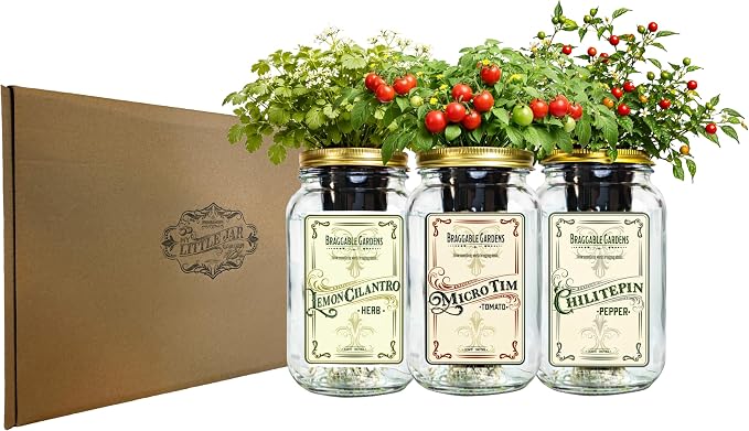 Salsa Garden Mason Jar Grow Kit (3 Pack) – Tiny Tim Tomato, Lemon Cilantro & Chiltepin Pepper – Indoor Hydroponic Herb & Vegetable Grow Kit – Windowsill Salsa Ingredient Garden
