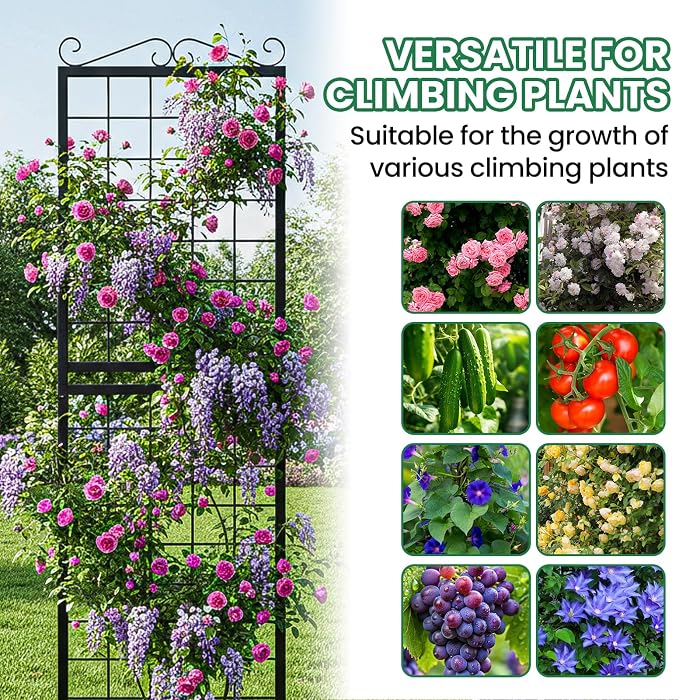 SUNYRISY 2Pack Metal Garden Trellis for Climbing Plants Outdoor, 71x20in Metal Plant Support for Flowers Tomato Cucumber Rose Vegetable Garden Courtyards Lawns Decoration, Black