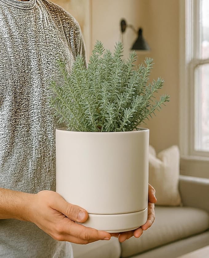 D'vine Dev 6.5 Inch Ceramic Planter Pot with Drainage Hole and Saucer, Indoor Cylinder Round Planter Pot, Oatmeal, 94-O-C-8