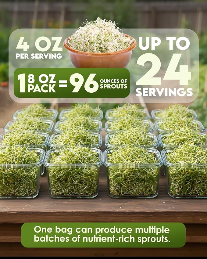 Nature Jim's Organic Broccoli Sprouting Seeds – Non-GMO, Rich in Sulforaphane, Fast-Growing Microgreen Seeds for Indoor/Outdoor Planting– Ideal Organic Sprouting Seed for Nutritious Gardening - 8oz