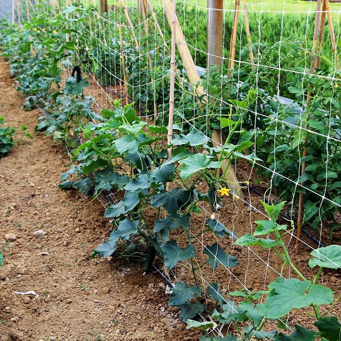 Berlune 6.5 x 1000 ft Trellis Netting Roll Heavy Duty Nylon Garden Trellis Netting with 6 Inch Mesh Soft Plant Support Net for Climbing Plants, Grape Racks, Growing Support Bean, Pea, Tomatoes