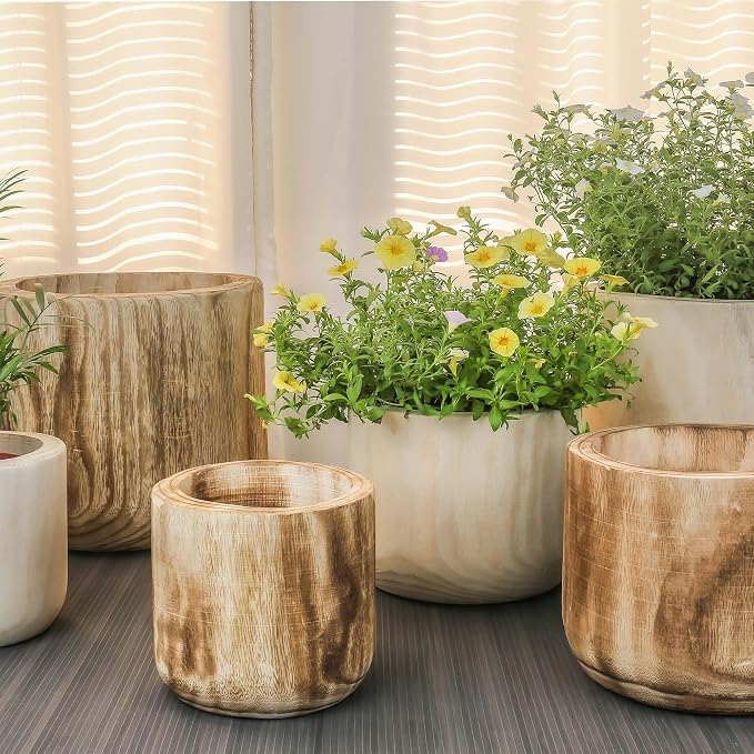 CYS EXCEL 6.25'' Burnt Finish Cylinder Planter Lightweight Natural Wood Cachepot for Indoor Plants, Succulents, Herbs, Home & Office Decor